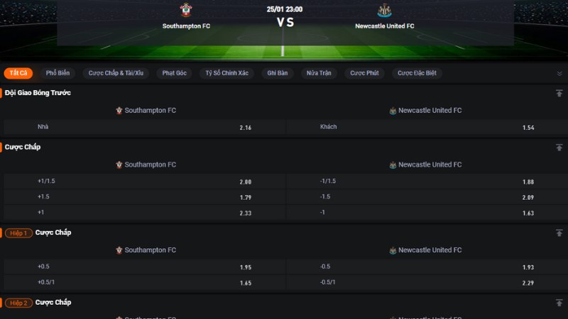 Southampton vs Newcastle