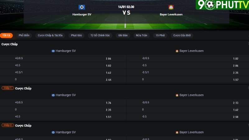 Hamburger vs Leverkusen